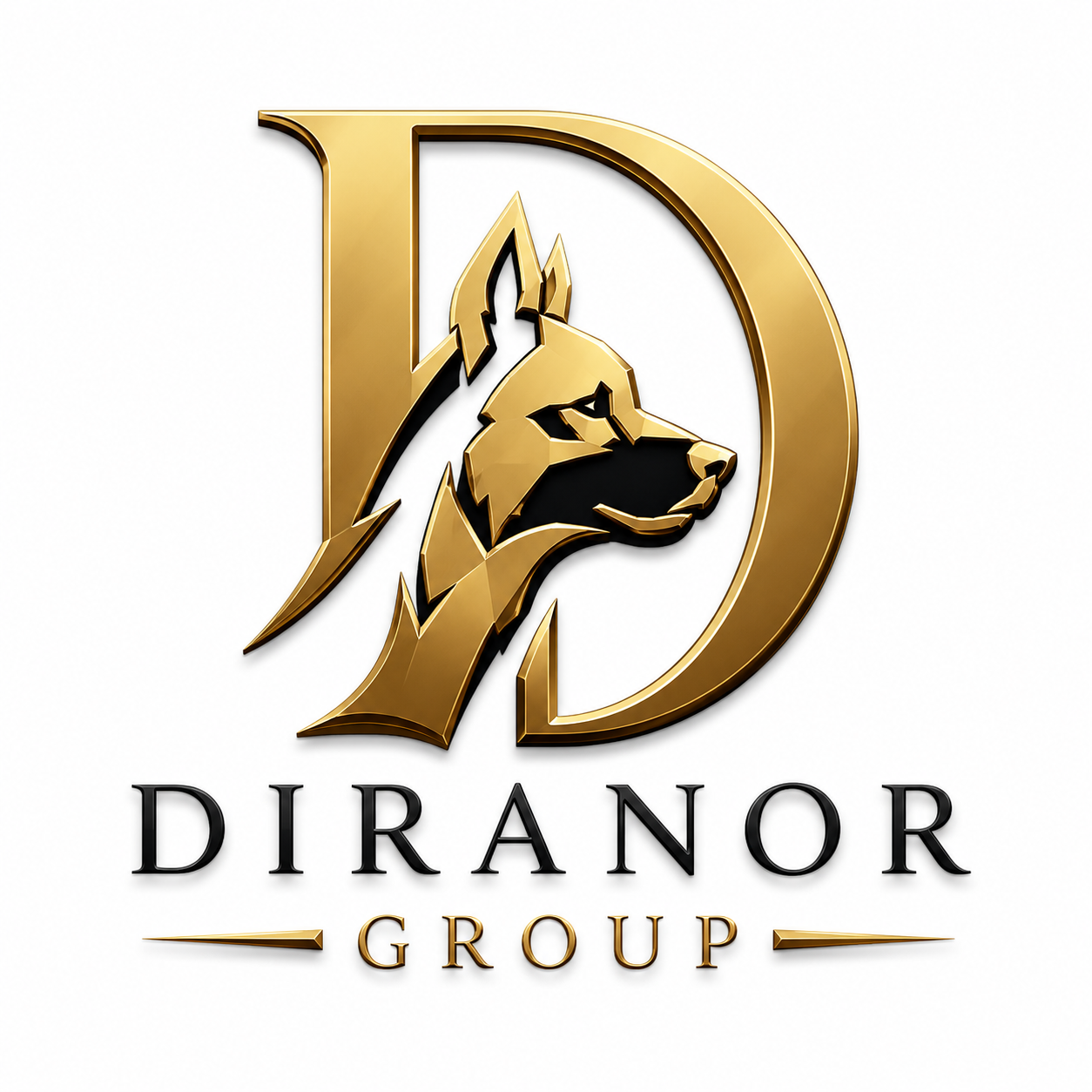 Diranor Group logo